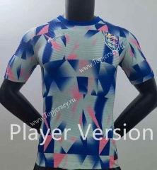 Player Version 2022-2023 England Blue Thailand Training Soccer Jersey AAA-2016
