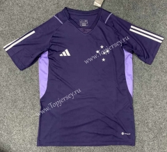 2023-2024 Cruzeiro EC Purple Thailand Training Soccer Jersey AAA-6032