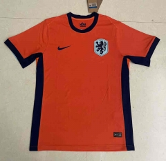 2024-2025 Netherlands Home Orange Thailand Soccer Jersey AAA-818