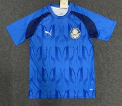 2024-2025 SE Palmeiras Blue Thailand Training Soccer Jersey AAA-GB