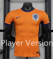 Player Version 2024-2025 Netherlands Home Orange Thailand Soccer Jersey AAA-888