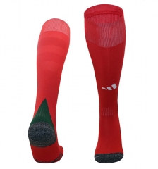 2024-2025 Wales Home Red Kids/Youth Soccer Socks