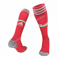 2022-2023 World Cup Mexico Home Red Kids/Youth Soccer Socks