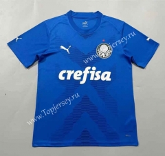(S-4XL) 2023-2024 SE Palmeiras Goalkeeper Blue Thailand Soccer Jersey AAA-908