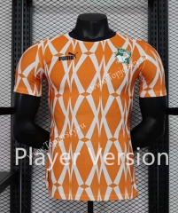 Player Version 2023-2024 Cote d'Ivoire Orange Thailand Soccer Jersey AAA-888