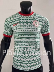 Player Version 2023-2024 Special Version Nigeria White&Green Thailand Soccer Jersey AAA-9753