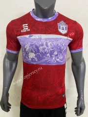 2023-2024 Boreale Calcio Goalkeeper Red Thailand Soccer Jersey AAA-416