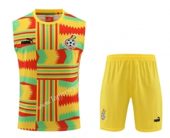 2023-2024 Ghana Yellow&Green Thailand Soccer Vest Uniform-4627