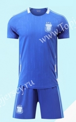 ( Without Brand Logo ) 2024-2025 Argentina Away Blue Soccer Uniform-9031