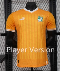 Player Version 2024-2025 3 Stars Cote d'Ivoire Orange Thailand Soccer Jersey AAA-888