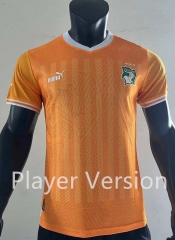 Player Version 2024-2025 Cote d'Ivoire Orange Thailand Soccer Jersey AAA-SJ