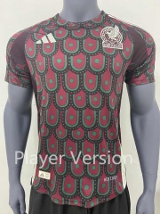 Player Version 2024-2025 Mexico Home Maroon Thailand Soccer Jersey AAA-SJ