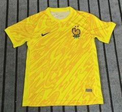 2024-2025 France Yellow Thailand Soccer Training Jersey AAA-422