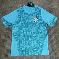 (S-4XL) 26-27 SE Palmeiras Blue Thailand Training Soccer Jersey AAA-6149